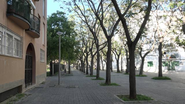 Piso en Venta en Son Gotleu