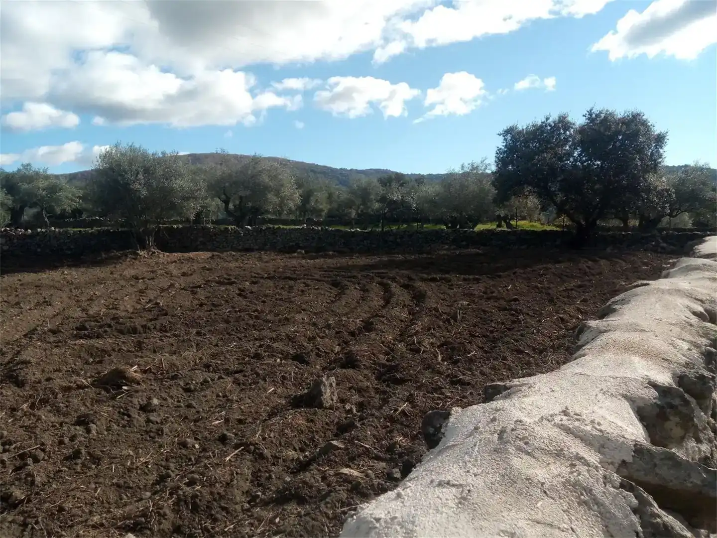 Residencial en venta en Oliva de Plasencia