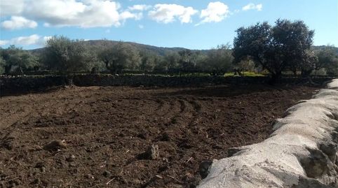 Foto 3 de Residencial en venta en Calle Fragua, Oliva de Plasencia, Cáceres