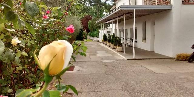 Local comercial en Alquiler en Partida BUTSENIT en Butsènit