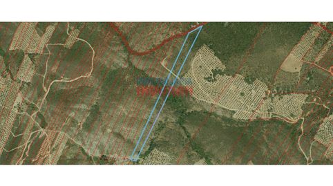 Foto 3 de Finca rústica en venta en Castañar de Ibor, Cáceres