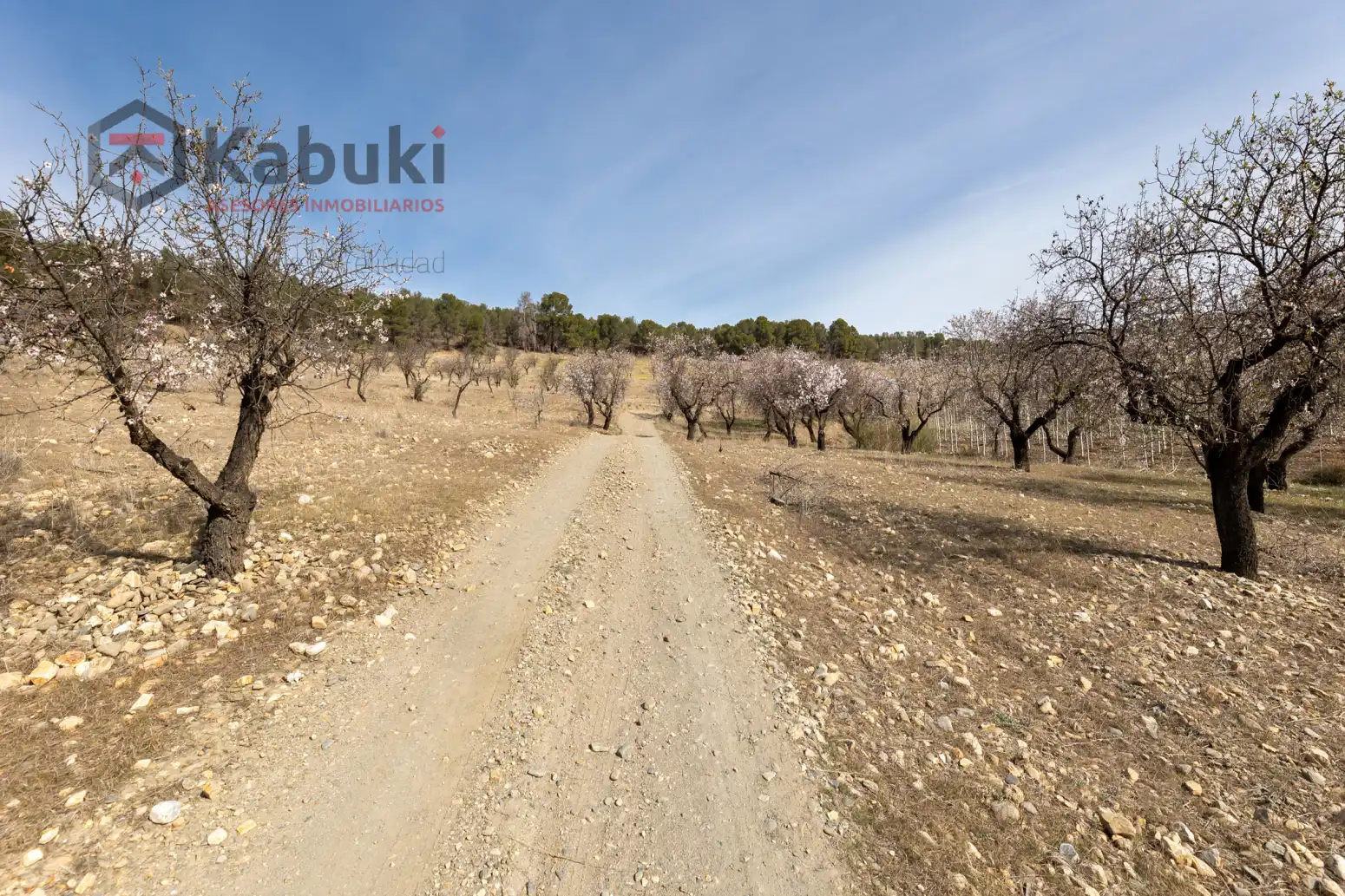 Terreni e lotti in vendita a Guadix - AUTE. VALLE DEL ZALABI, imagen 7