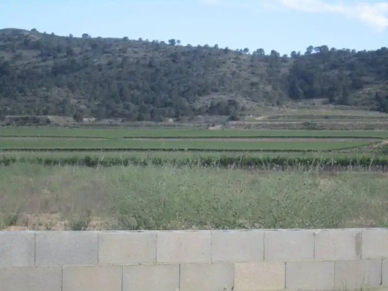 Terreno residencial en venta en Alcanar, imagen 6