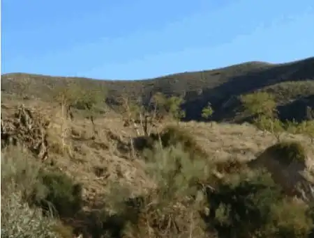 Rural land for sale in Puerto Lumbreras, imagen 2