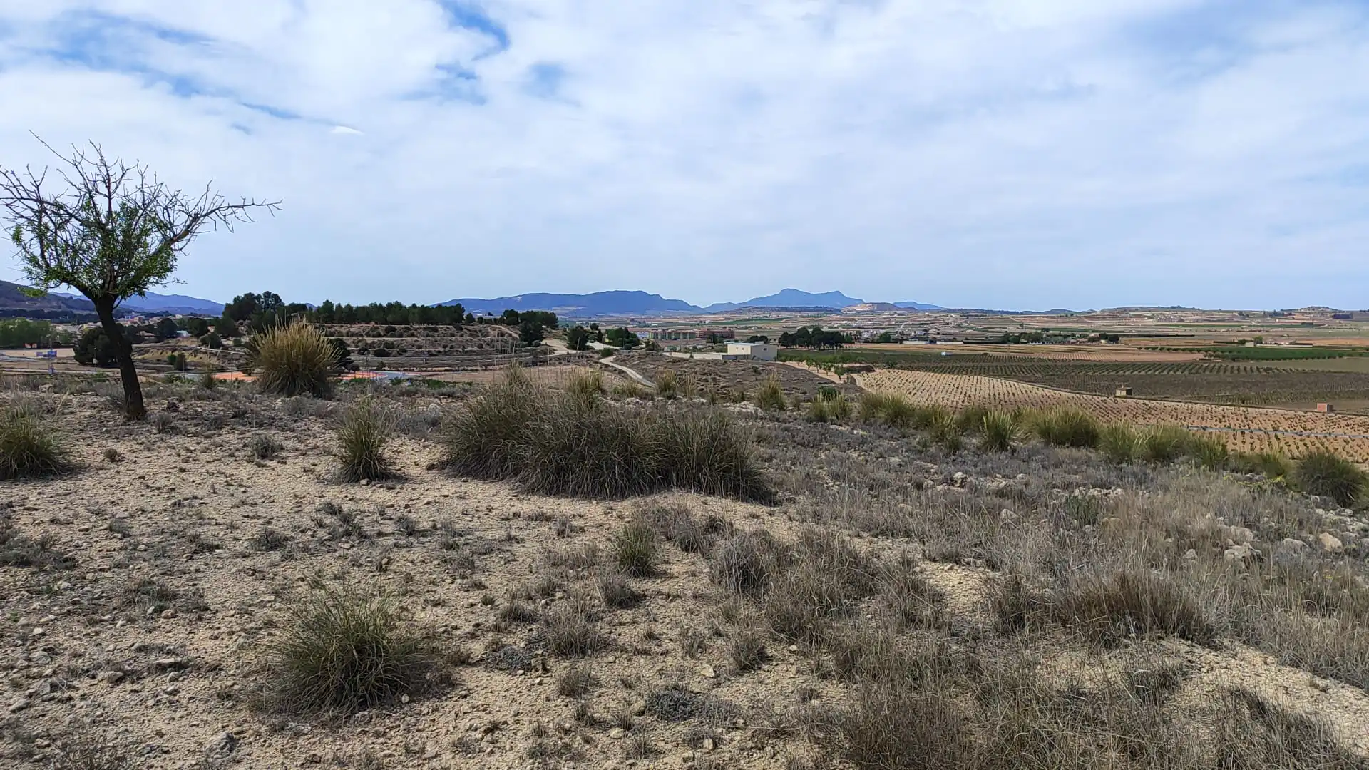 Terreno en venta en Camino del Toscar, 11, El Pinós / Pinoso
