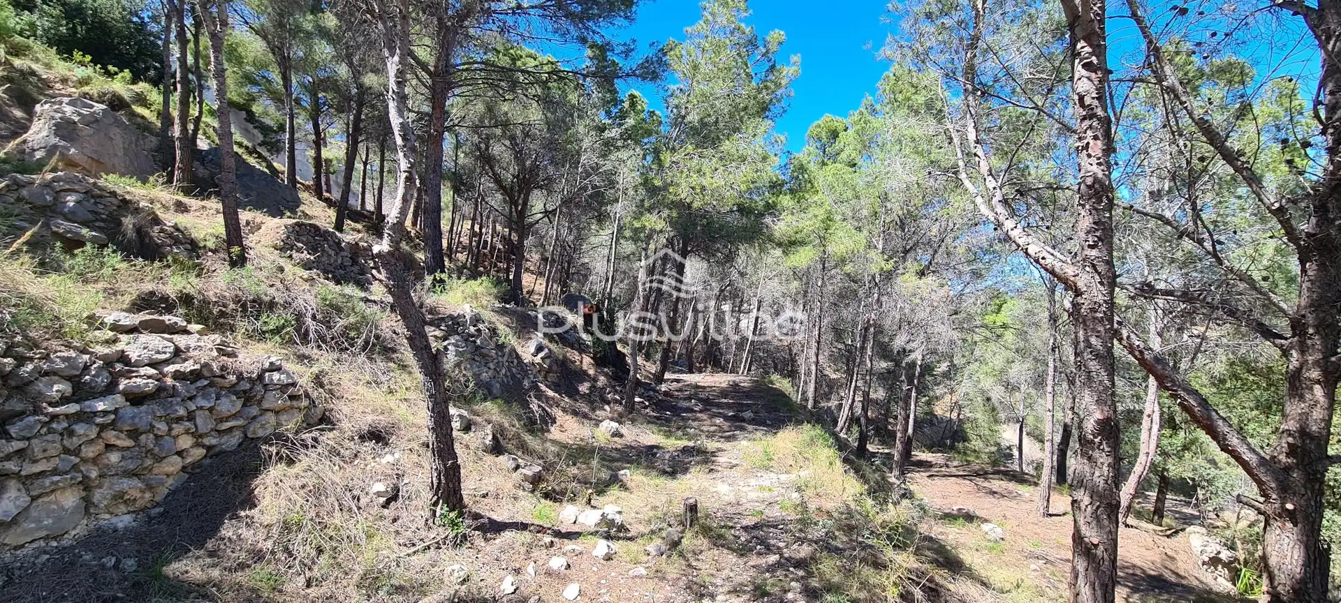 Lands and plots for sale in Oltamar - Cucarres, imagen 8