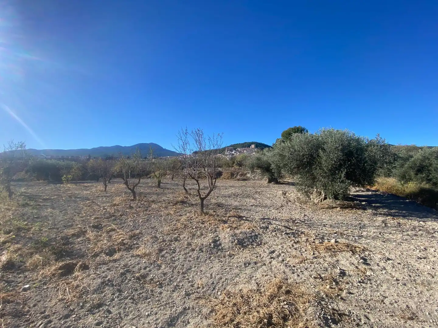 Terreni e lotti in vendita a Moratalla, imagen 10
