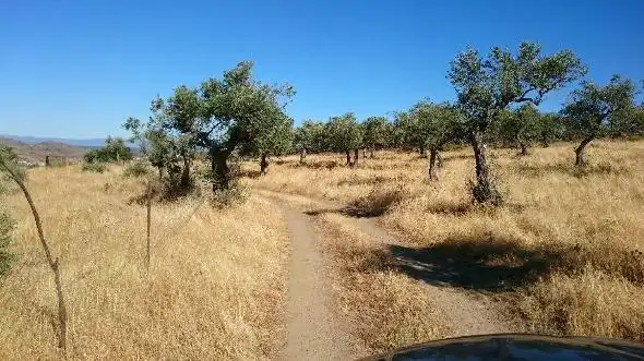 Terreni e lotti in vendita a Miralvalle - Av. Virgen del Puerto - La Data, imagen 3