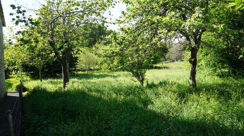 CASA PARA RESTAURAR CON FINCA, imatge 5