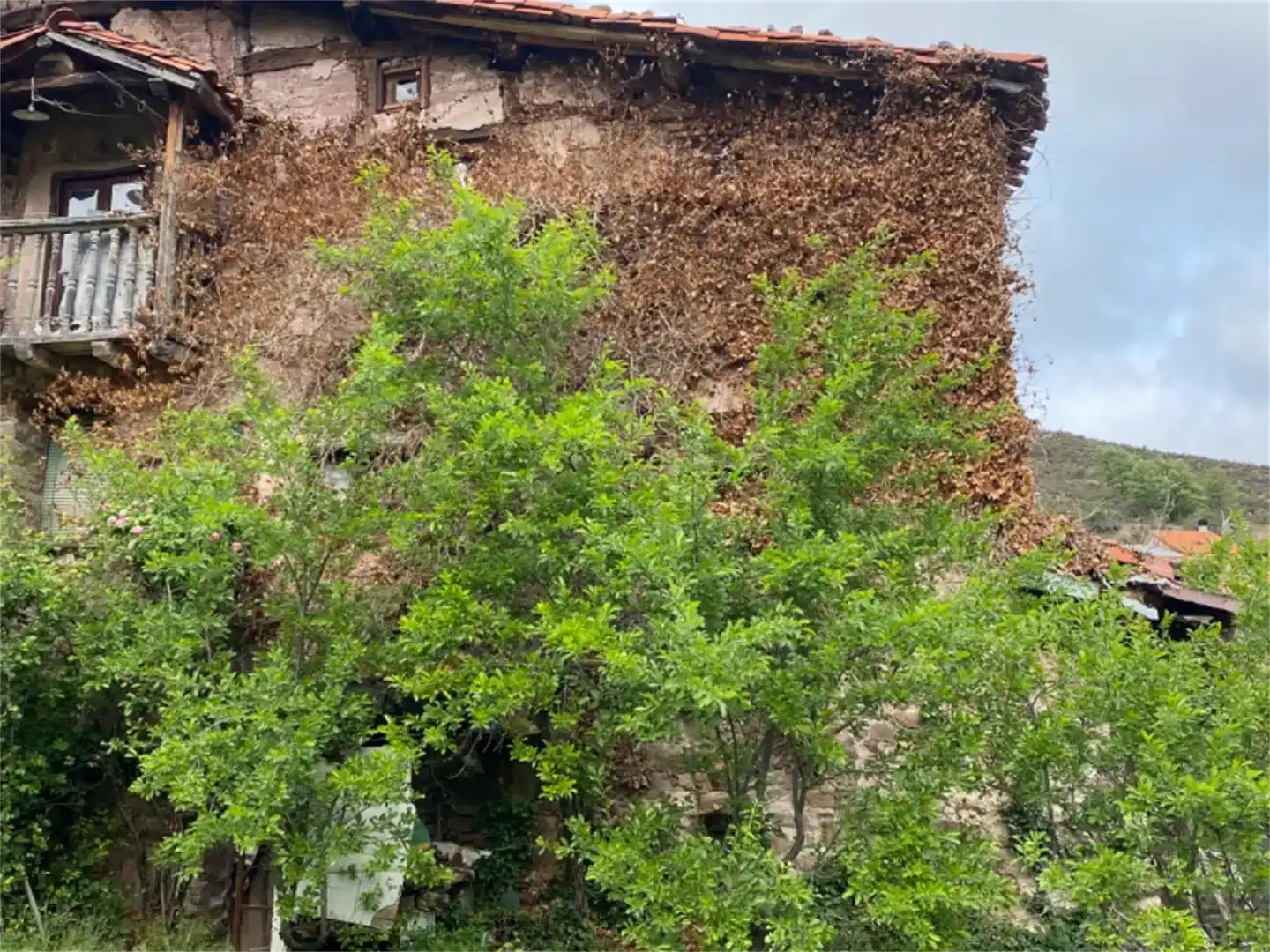 Jardí de Finca rústica en venda en Rabanera amb Jardí privat i Traster