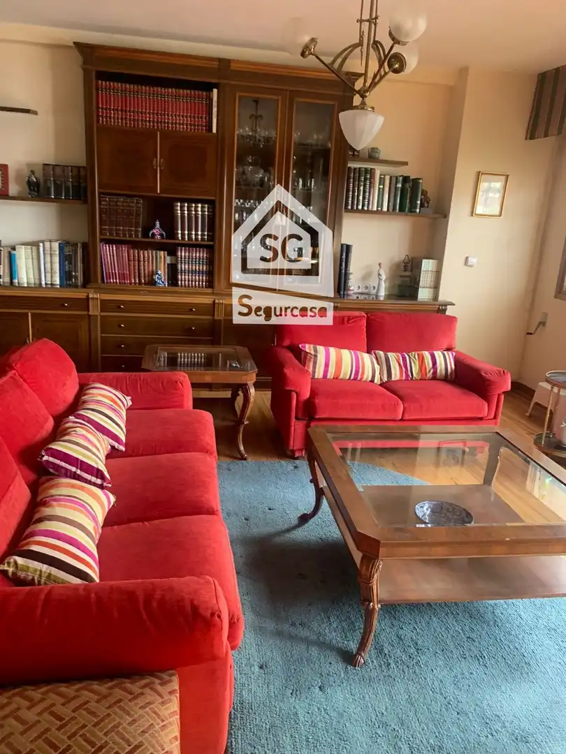 Sala d'estar de Pis de lloguer en Ourense Capital  amb Calefacció