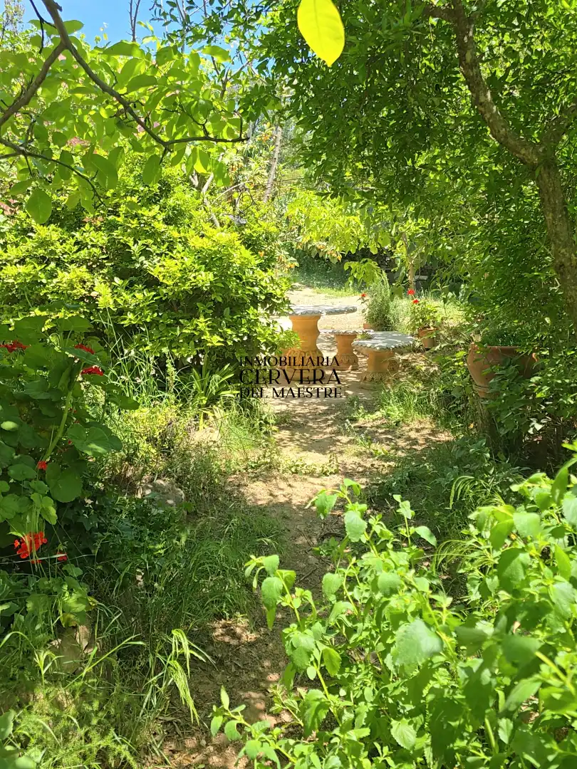 Garden of Houses for sale in La Torre d'en Besora