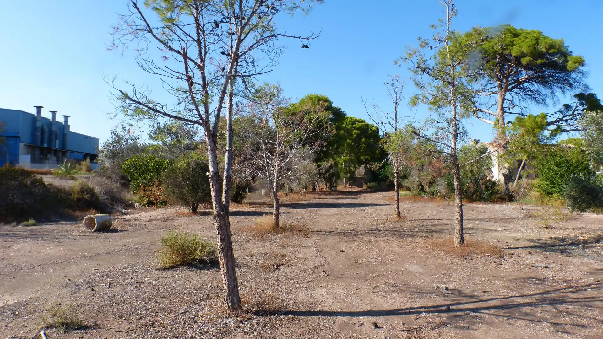 Industrial land for sale in Mutxamel
