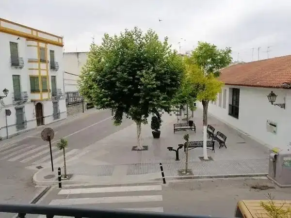 Vista exterior de Piso en venta en Moriles con Terraza