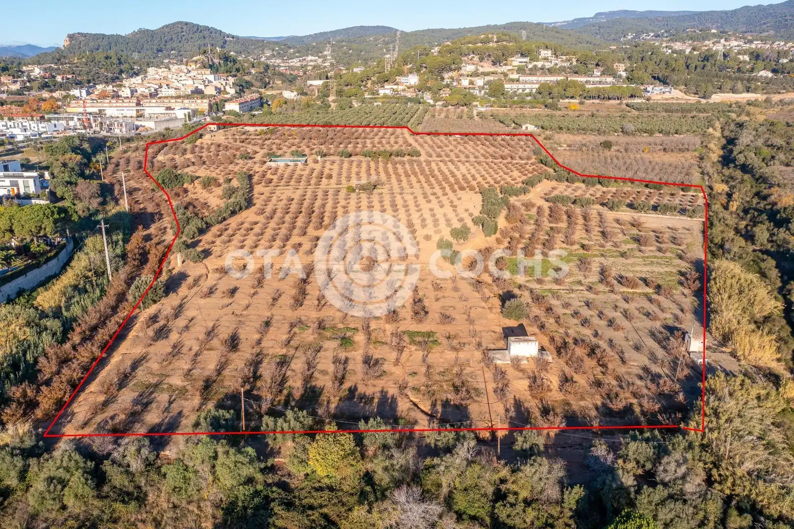 Finca rústica en venta en Castellvell del Camp