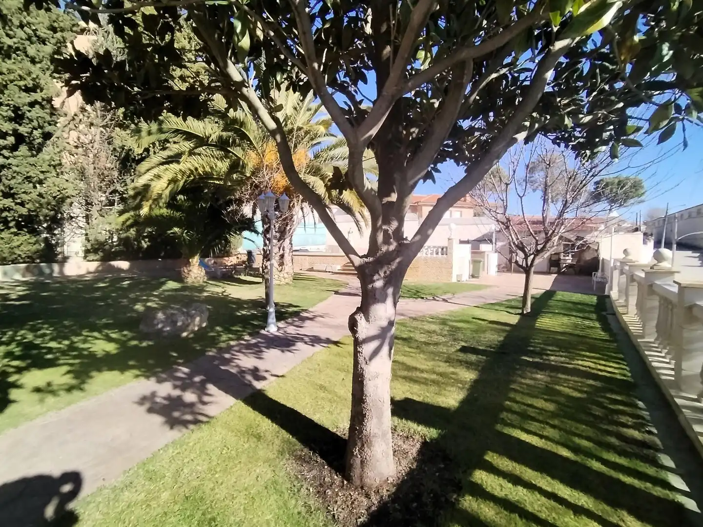 Vista exterior de Casa o chalet en venta en Campo Real con Aire acondicionado, Calefacción y Jardín privado
