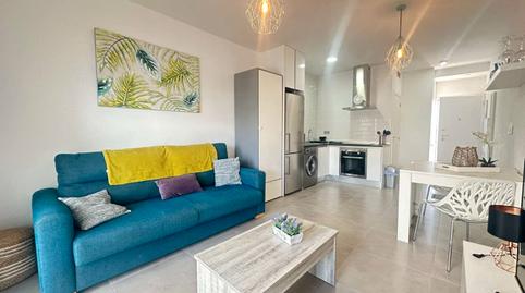 Foto 2 de Estudi en venda a N/a, Pilar de la Horadada ciudad, Pilar de la Horadada