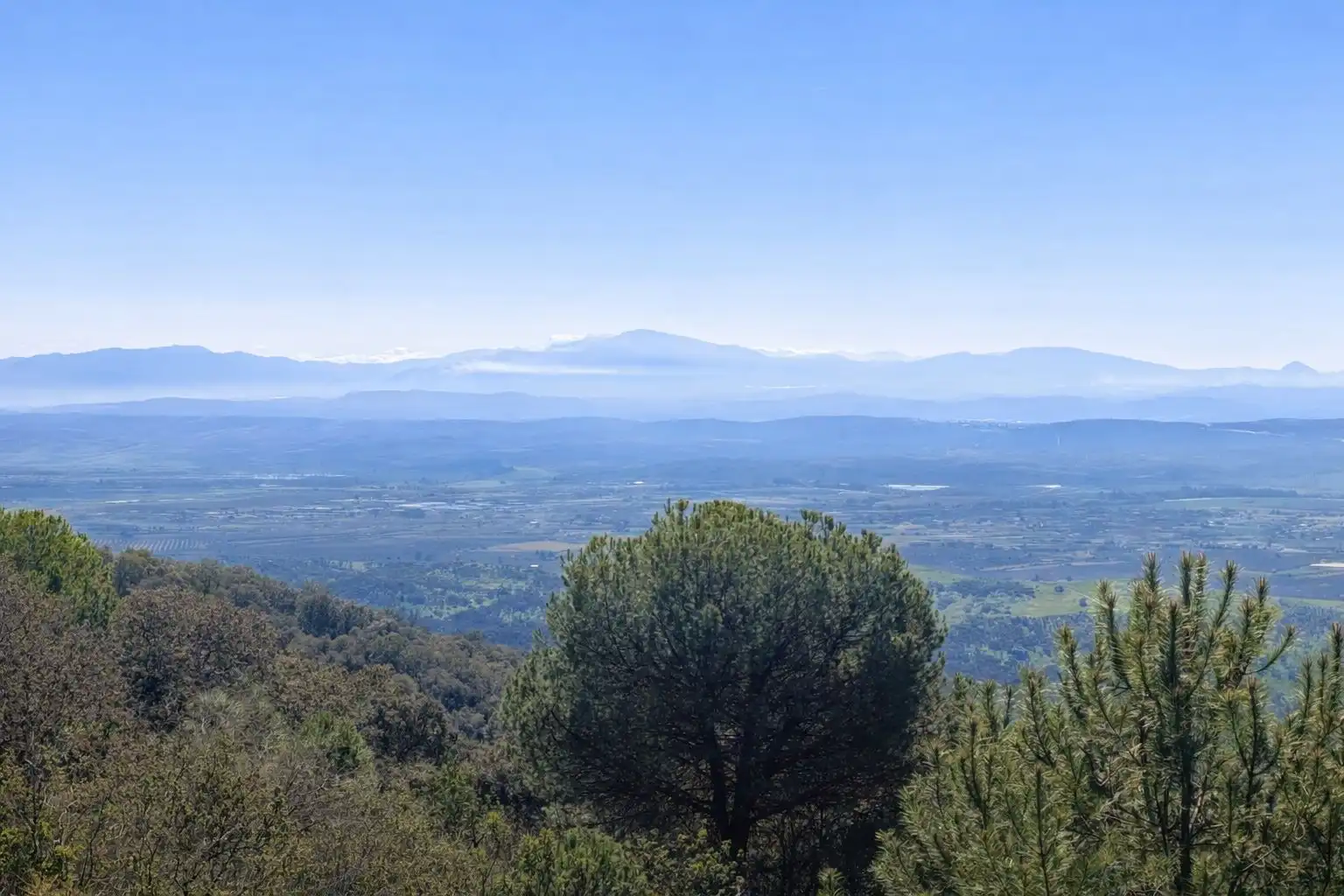 Finca rústica en venda en Andújar amb Jardí privat i Terrassa