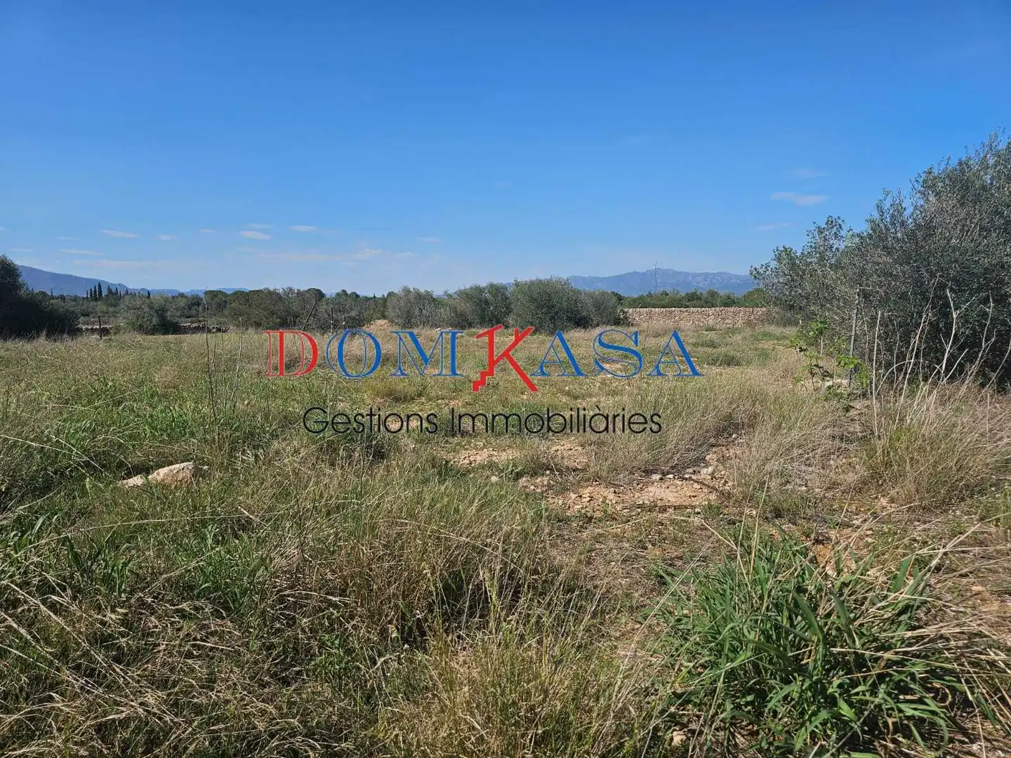 Rural land for sale in Roquetes, imagen 8