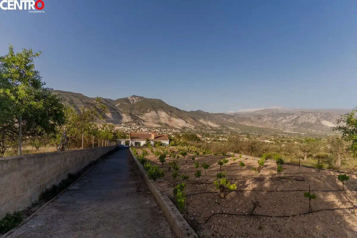 Casa con giardino in vendita a molinos, imagen 26