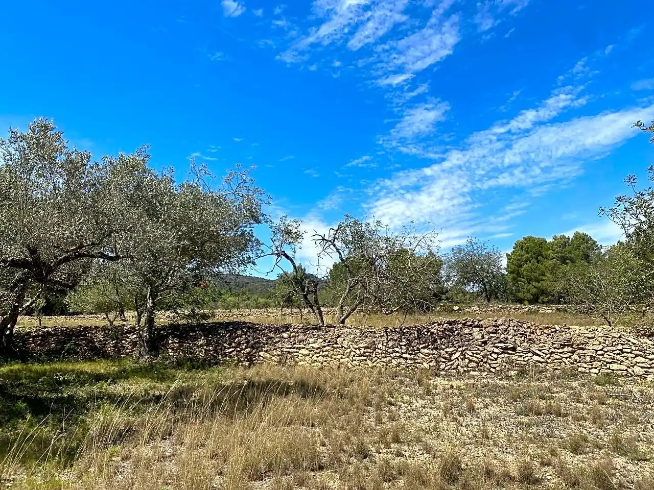 Terreno rustico in vendita a Mas de Baralluga, imagen 14