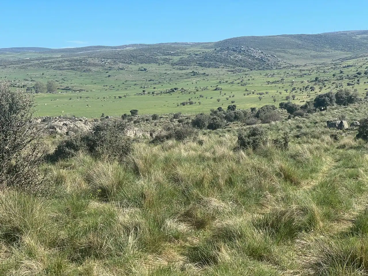 Terreni e lotti in vendita a Tornadizos de Ávila, imagen 15