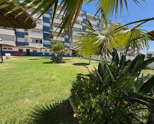 Vista exterior de Apartament en venda en Algeciras amb Aire condicionat, Jardí privat i Terrassa