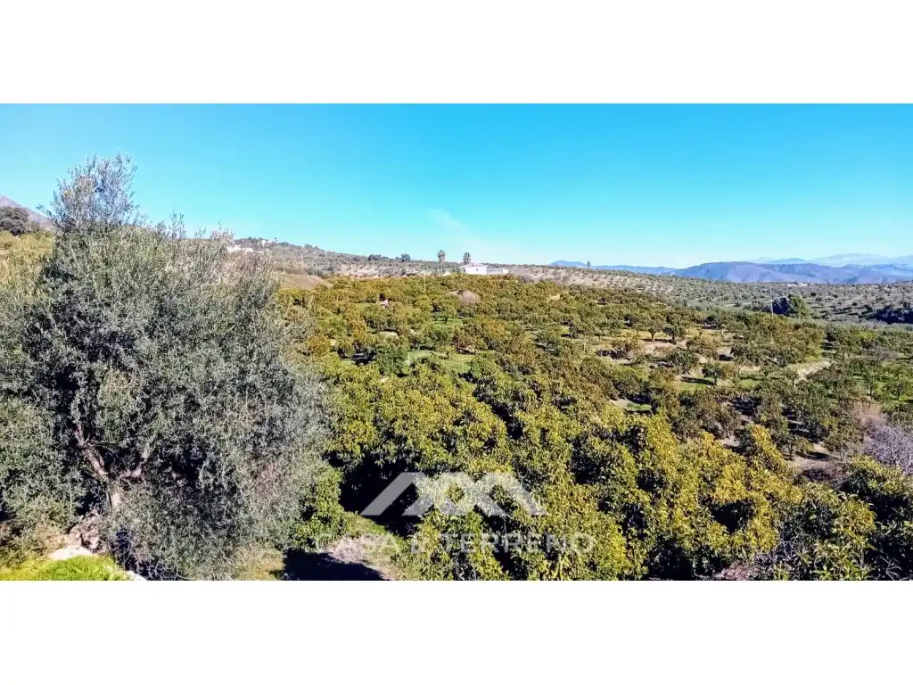 Casa o xalet en venda en Alozaina amb Piscina