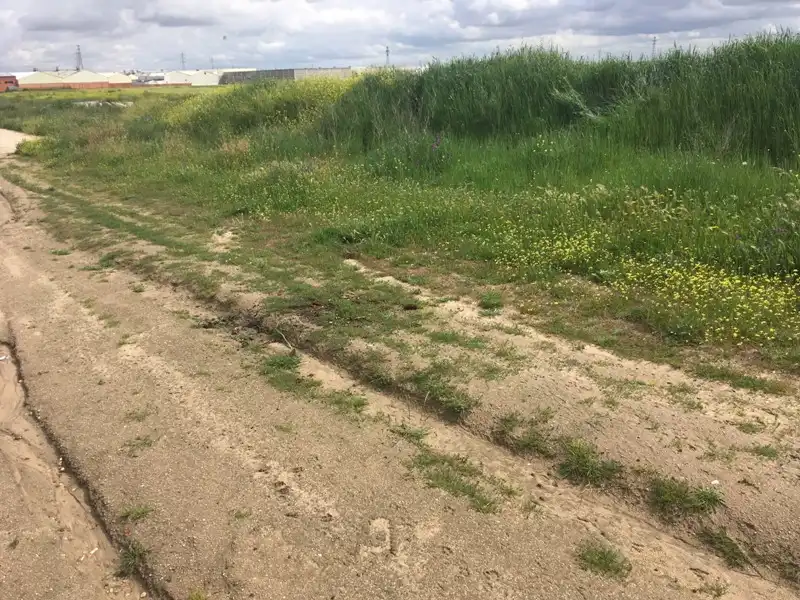 Residencial en venta en DE SANTA JUANA (POLIGONO 5, PARCELA 50, S-14), Torrejón de la Calzada