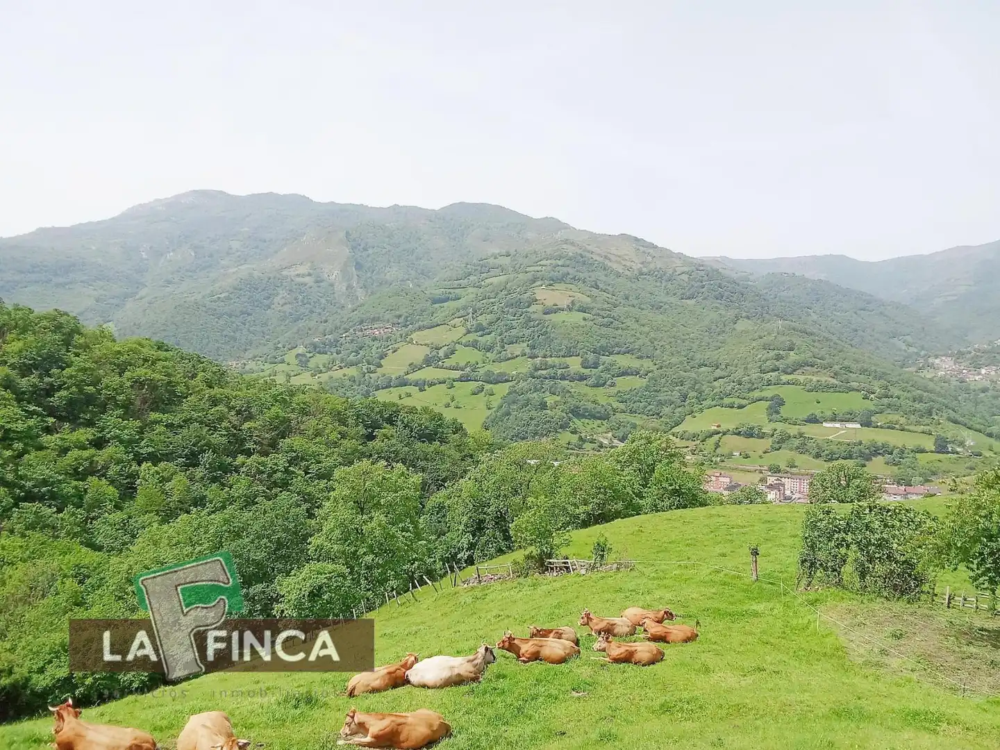 Residencial en venta en Lena