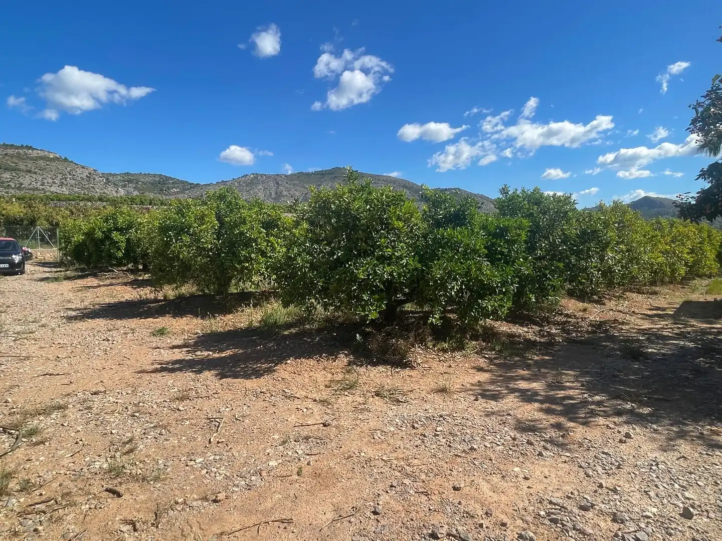 Grundstücke zum Verkauf in Castellón de la Plana / Castelló de la Plana