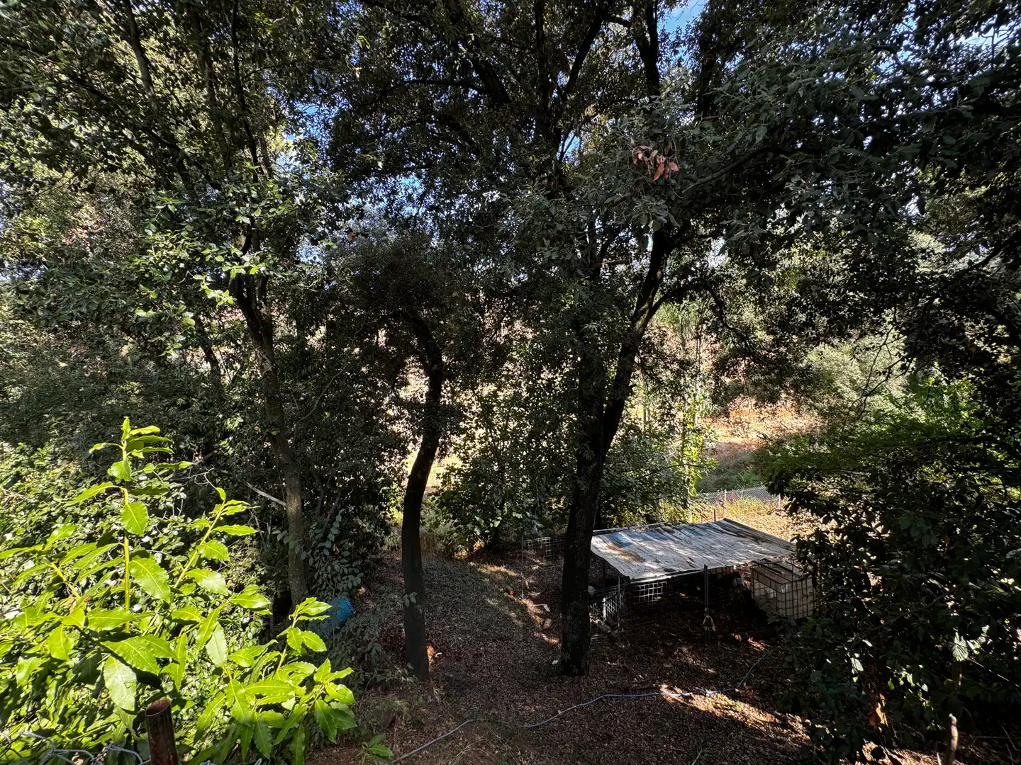 Garten von Residential zum Verkauf in Sant Pere de Vilamajor