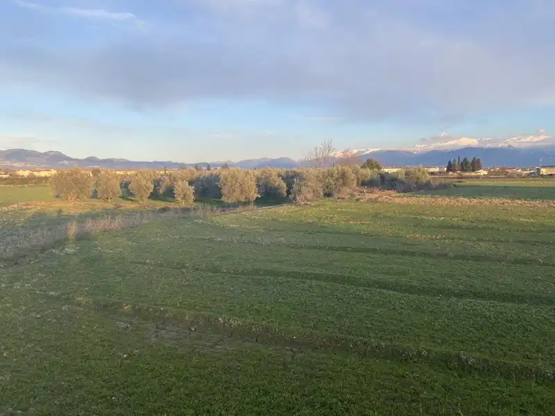 Rural land for sale in Belicena, imagen 15