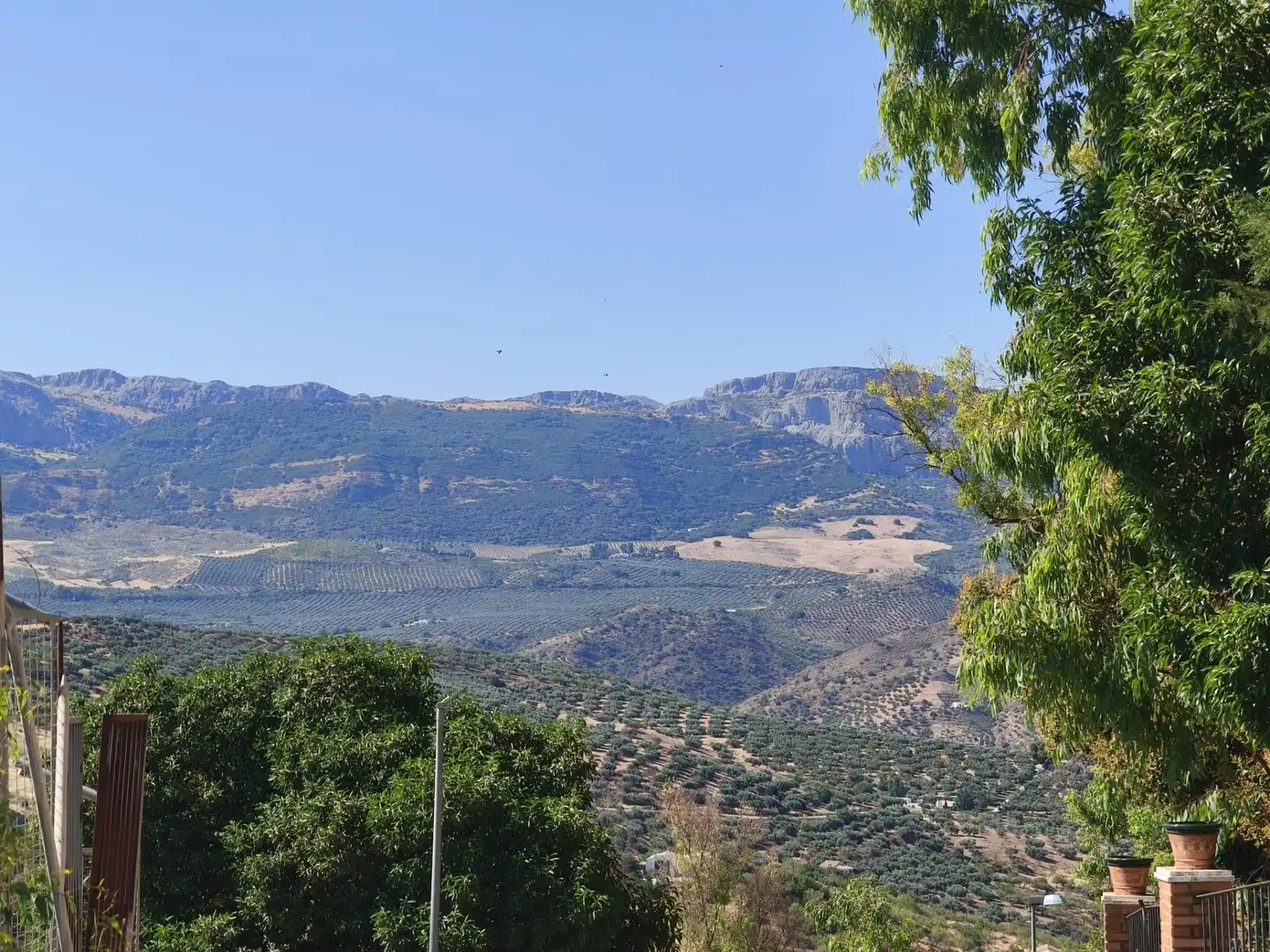 Terrenys i solars en venda a Colmenar, imagen 3
