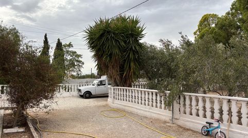 Foto 5 de Finca rústica en venda a Partida Maitino, 1051, Alzabares, Elche / Elx