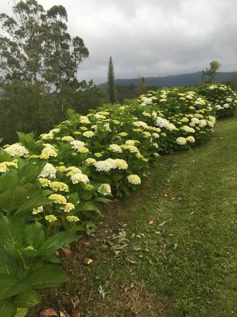 Garden of Houses for sale in Navia  with Private garden and Storage room