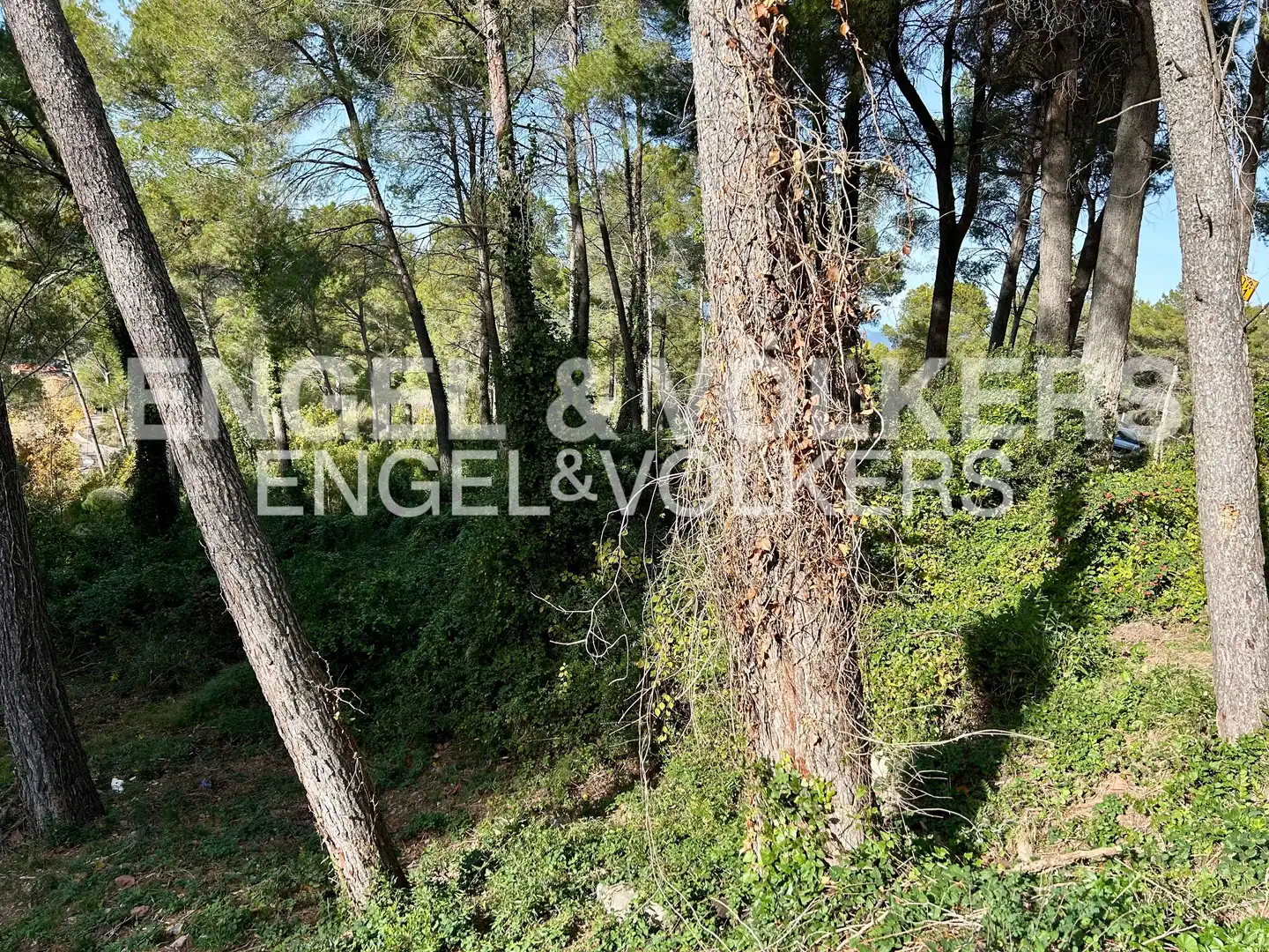 Terreny residencial en venda a Corbera de Llobregat, imagen 8