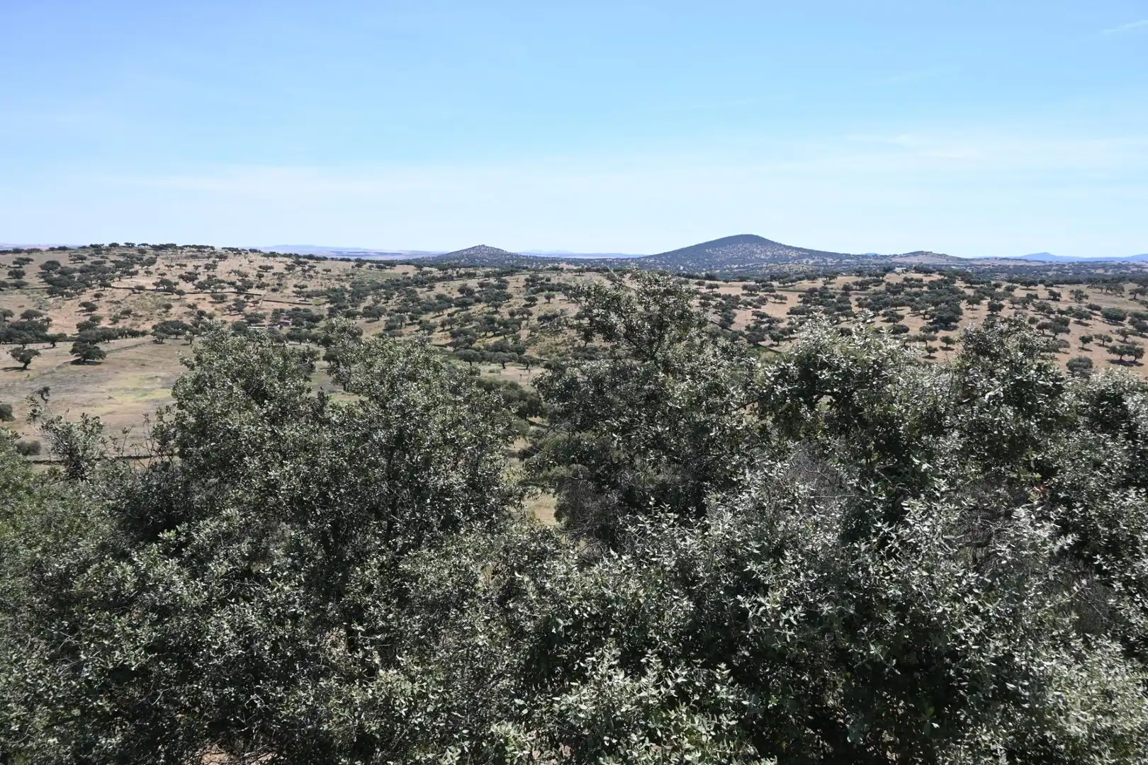 Casa o chalet en venta en Bodonal de la Sierra con Aire acondicionado, Piscina y Amueblado