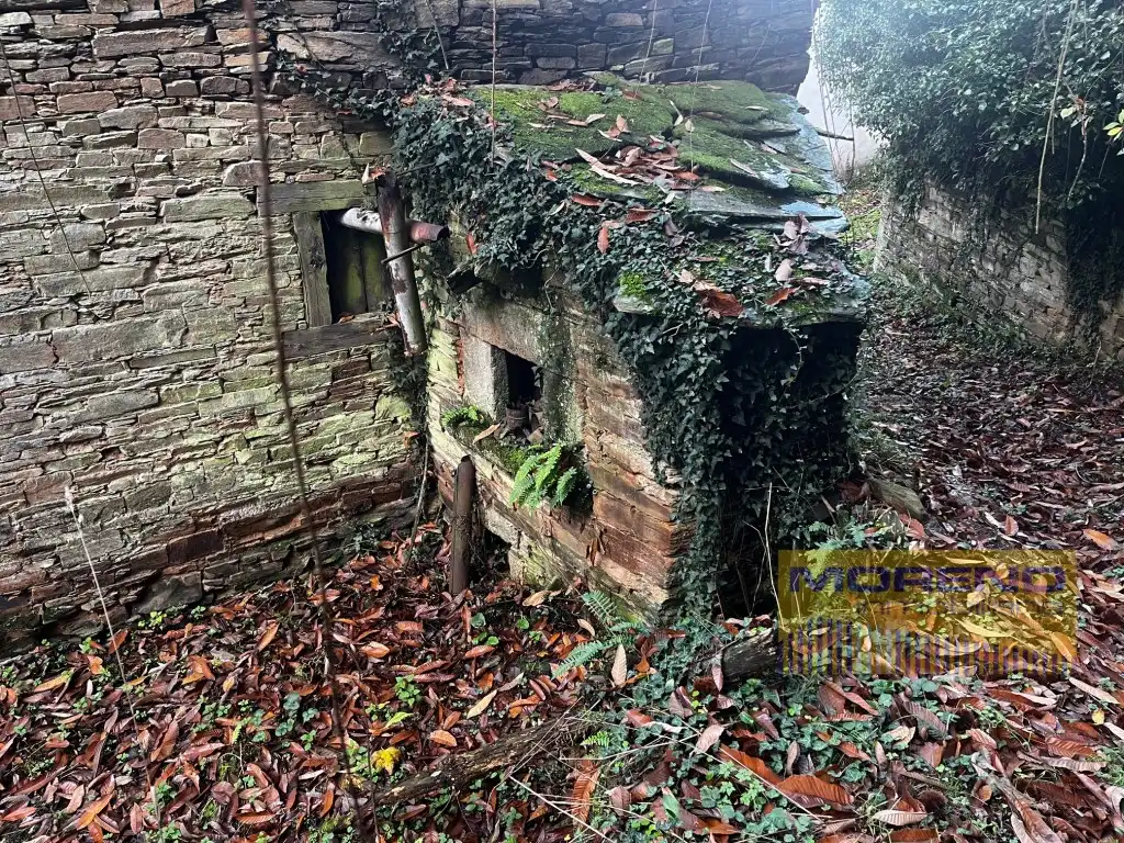Vista exterior de Finca rústica en venta en O Incio 