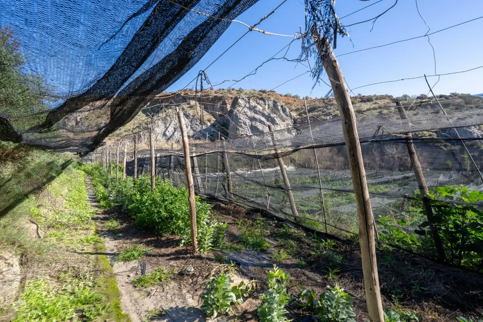 Casa rústica en venda a Canjáyar, imagen 47