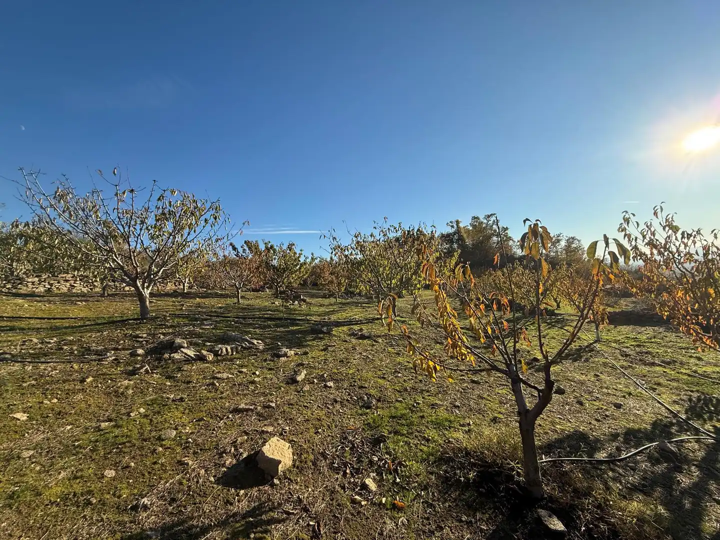 Land for sale in Calle Duche, 46, Arroyomolinos de la Vera