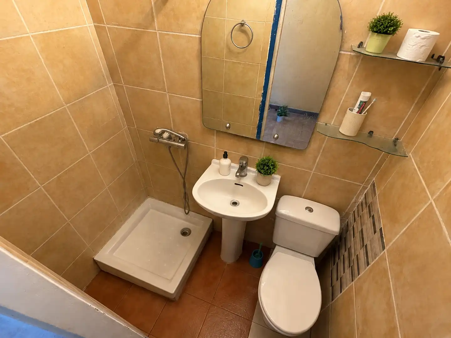 Bany de Pis en venda en Santa Coloma de Gramenet amb Terrassa