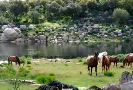Casa rústica en venda a Carretera de Ledesma a Fermoselle, imagen 9