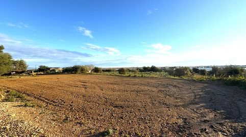 Foto 5 de Finca rústica en venta en Nord, La Ràpita