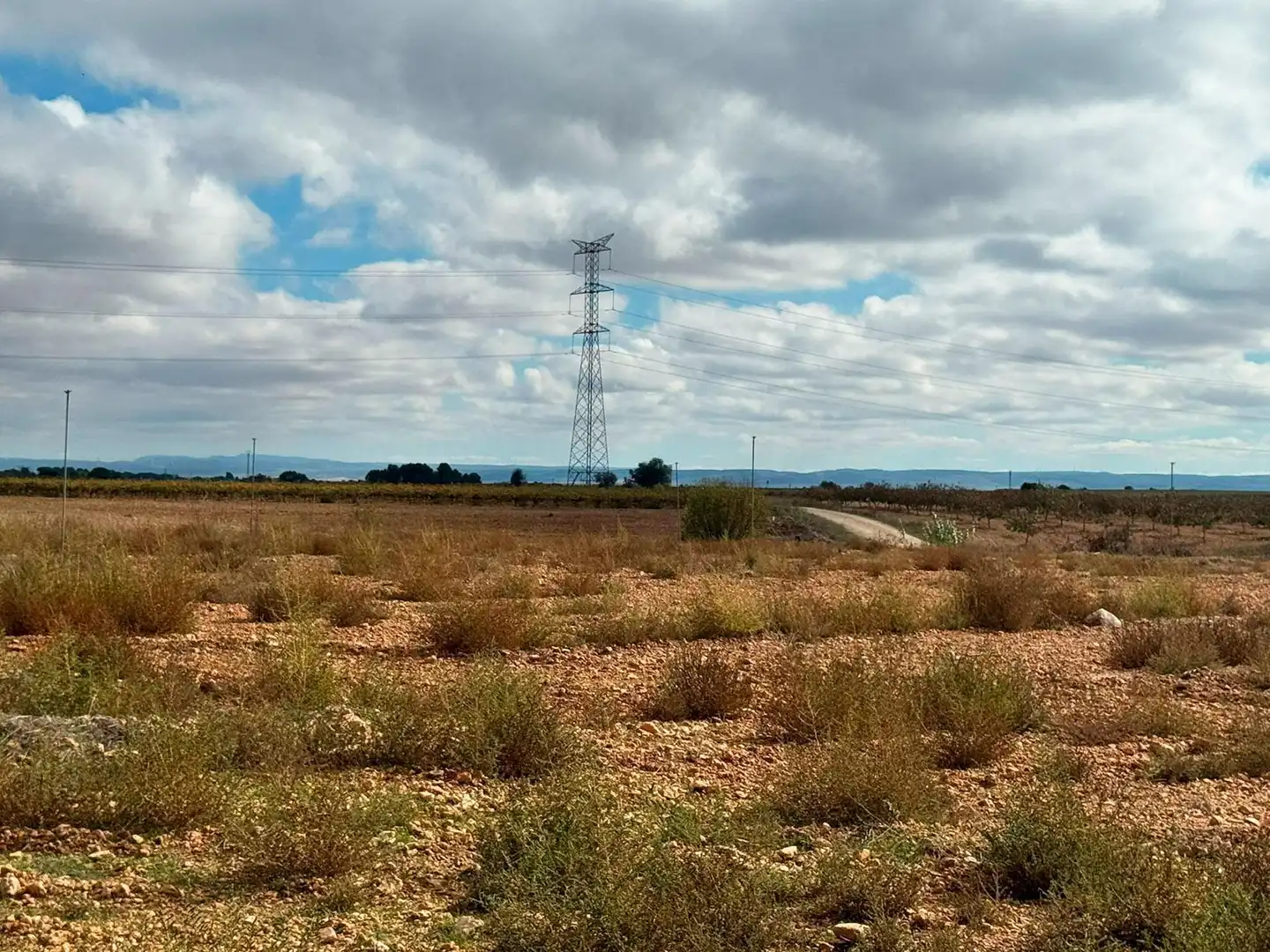 Terreno en venta en Motilleja
