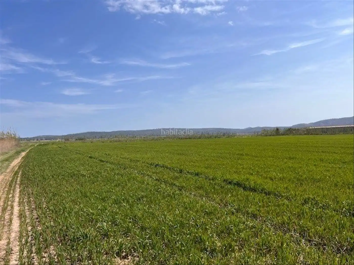 Rural land for sale in Camí Horts de Sant Joan 14