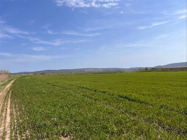 Terreno rustico in vendita a Camí Horts de Sant Joan 14
