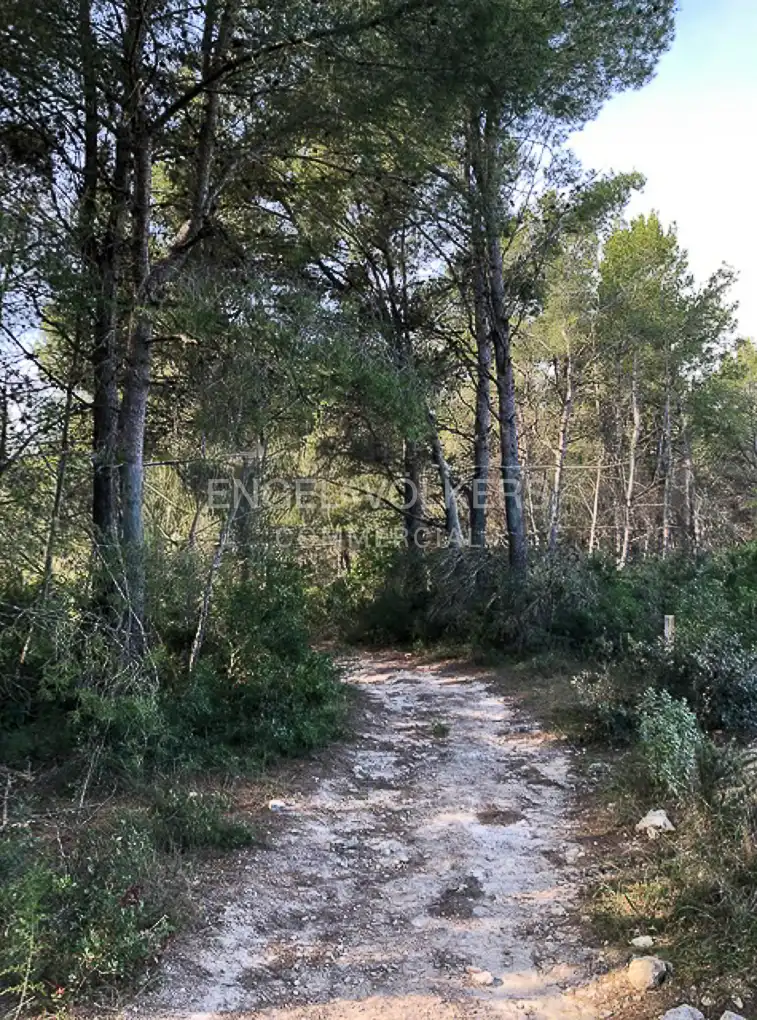 Fabrik Grundstücke zum Verkauf in Avinyonet del Penedès