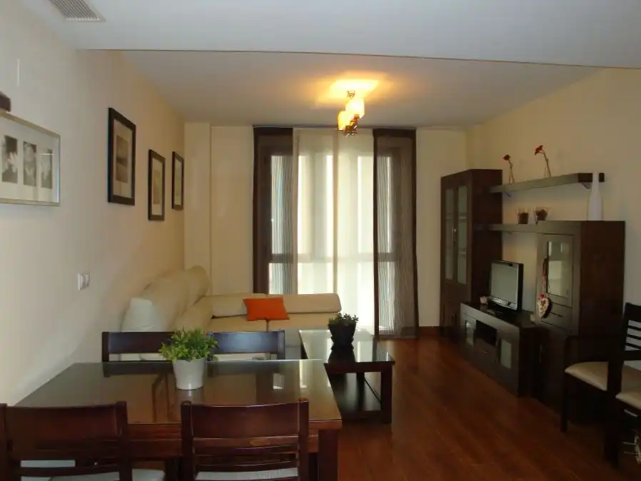 Apartment mit Aufzug zur Miete in AVENIDA DEL EJERCITO ESPAÑOL 15, imagen 9