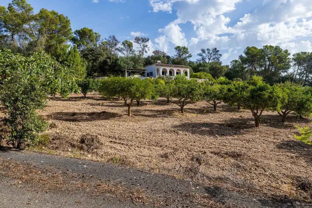 Casa rustica con giardino in vendita a Algaida
